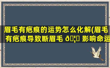 眉毛有疤痕的运势怎么化解(眉毛有疤痕导致断眉毛 🦆 影响命运 🐶 吗)
